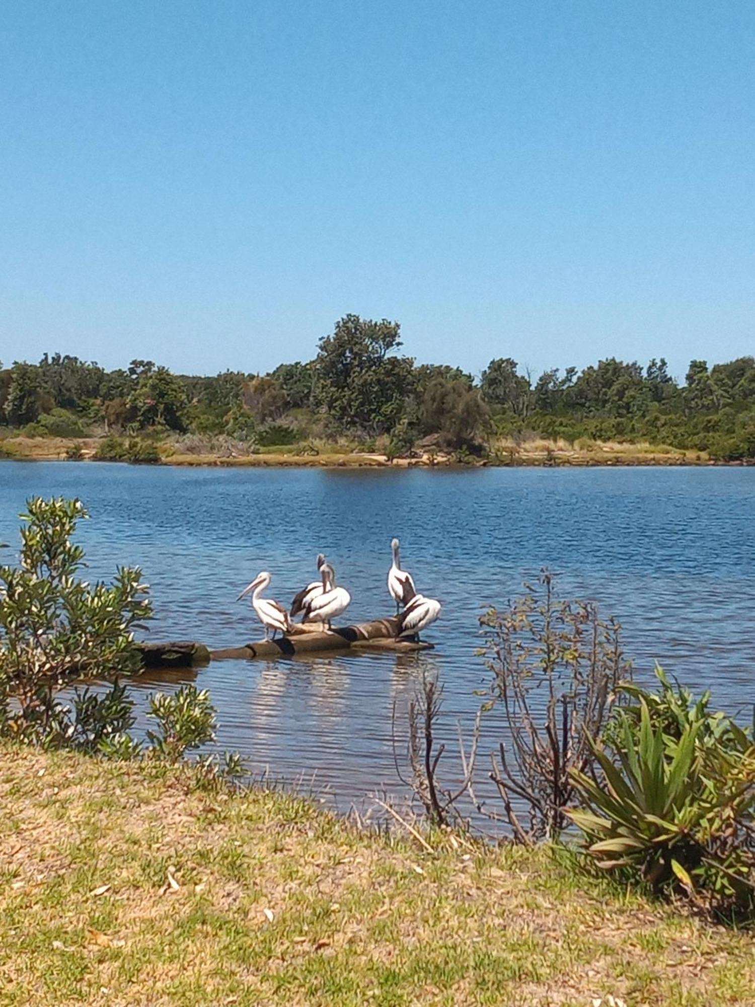 Lakes Entrance Waterfront Cottages With King Beds 외부 사진