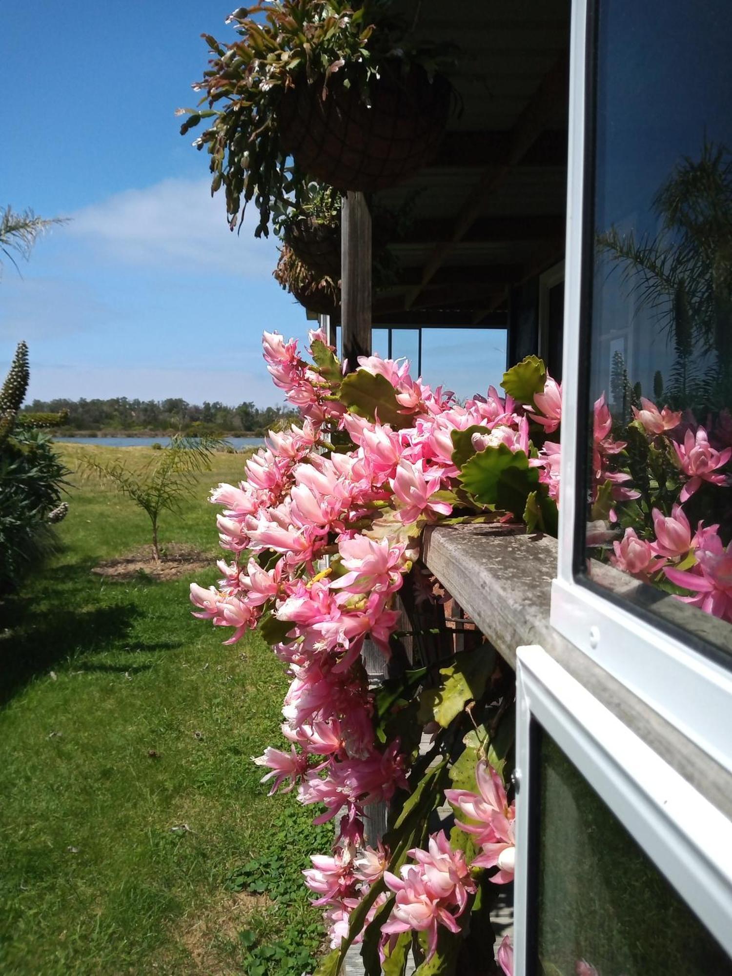 Lakes Entrance Waterfront Cottages With King Beds 외부 사진