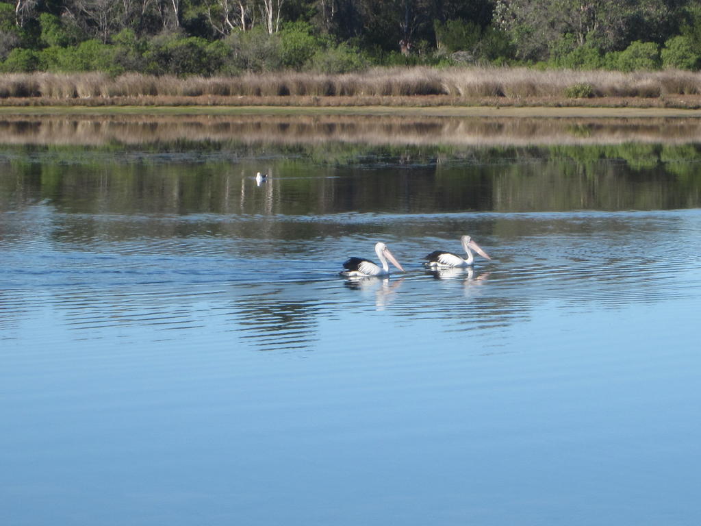 Lakes Entrance Waterfront Cottages With King Beds 외부 사진